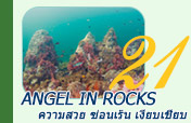 Angel in Rocks 3วัน2คืน